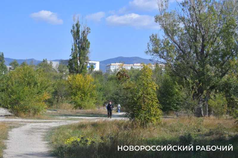 В особо охраняемую природную зону Новороссийска планируют завозить плодородную землю