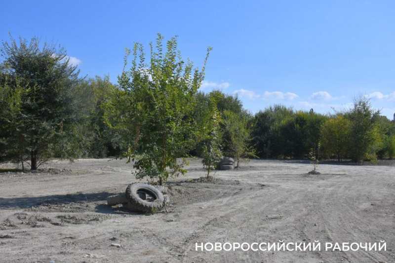 В особо охраняемую природную зону Новороссийска планируют завозить плодородную землю