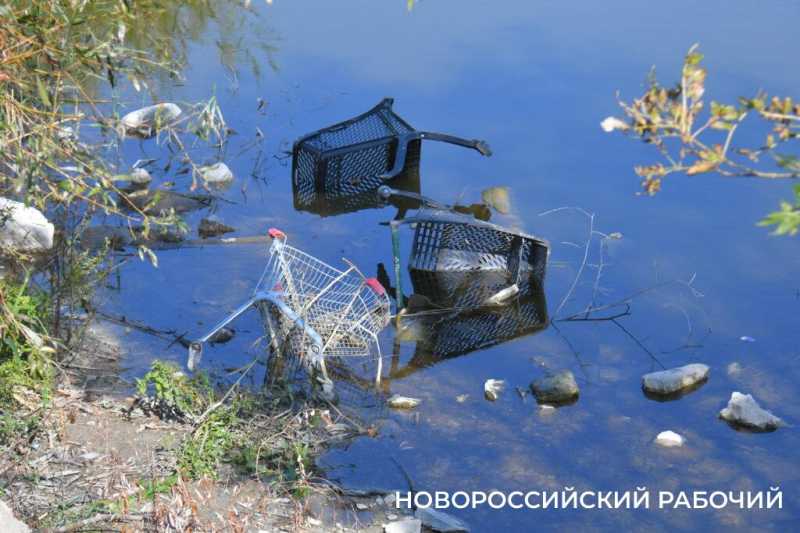В особо охраняемую природную зону Новороссийска планируют завозить плодородную землю