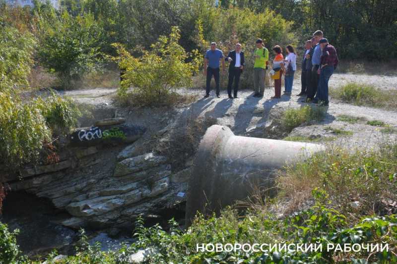 В особо охраняемую природную зону Новороссийска планируют завозить плодородную землю