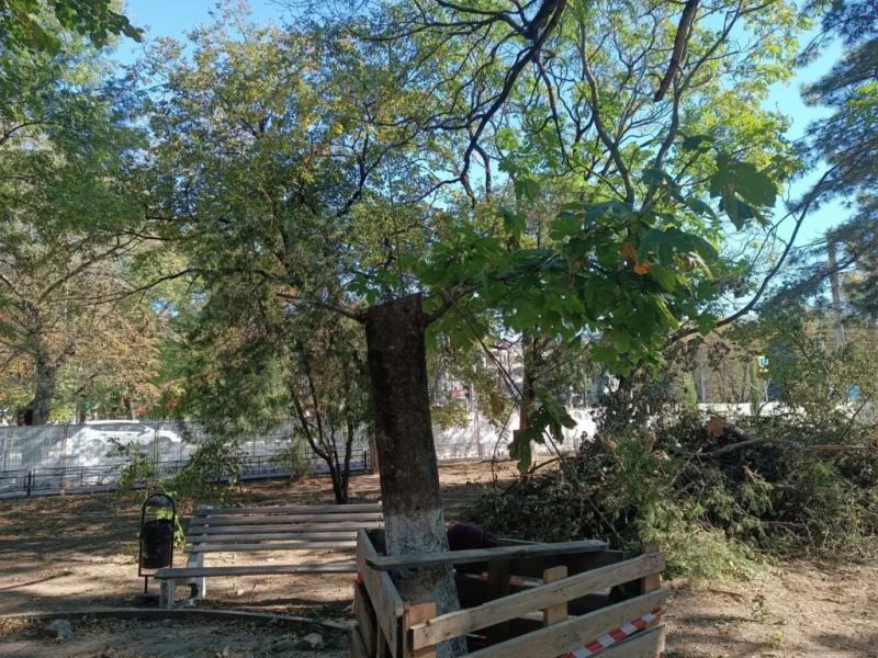 В сквере в центре Новороссийска в ходе благоустройства стало меньше зелени