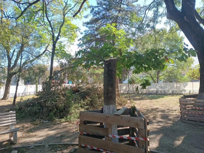 В сквере в центре Новороссийска в ходе благоустройства стало меньше зелени