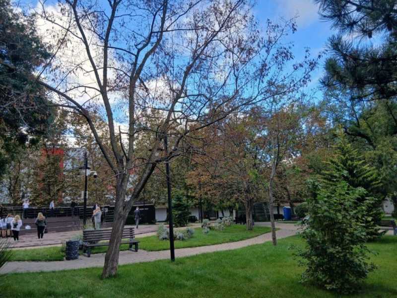 Золотая осень не спешит в Новороссийск
