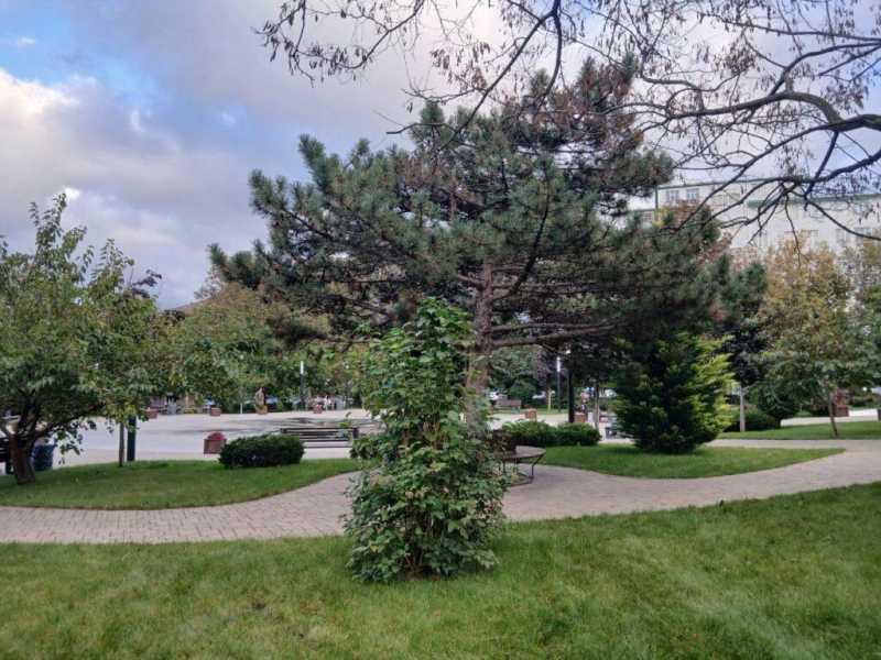 Золотая осень не спешит в Новороссийск