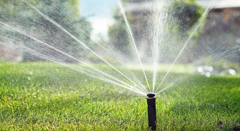 8,4 миллионов рублей власти Новороссийска потратят на систему автополива в парке Фрунзе