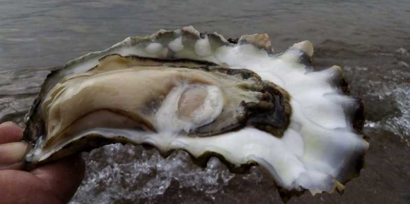 Как пенсионеру попасть в жерло вулкана. Советы путешественника с автодомом из Новороссийска