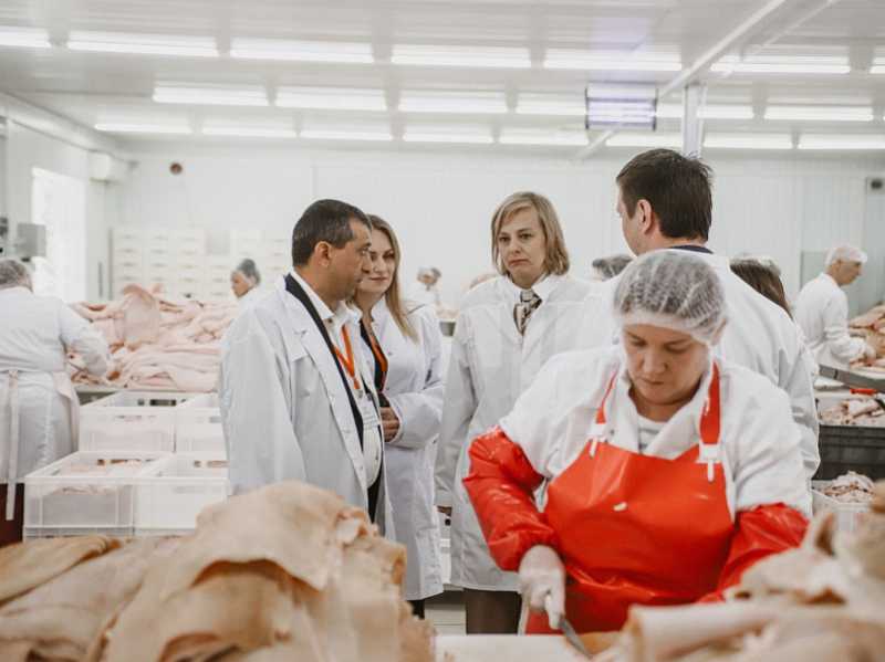 Кубанский мясокомбинат приступил к реализации национального проекта «Производительность труда»