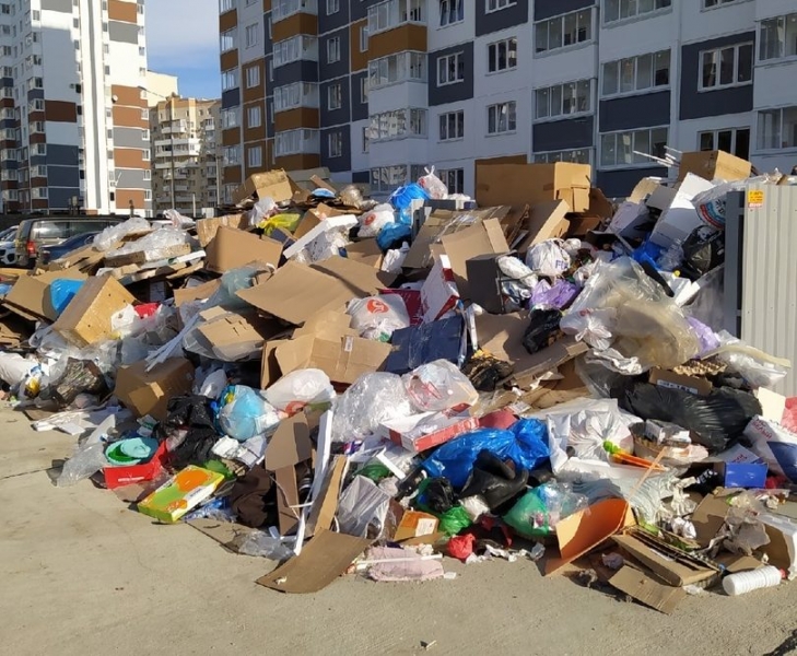 Мусорные войны Новороссийска: что делать со свалками и сортировкой?