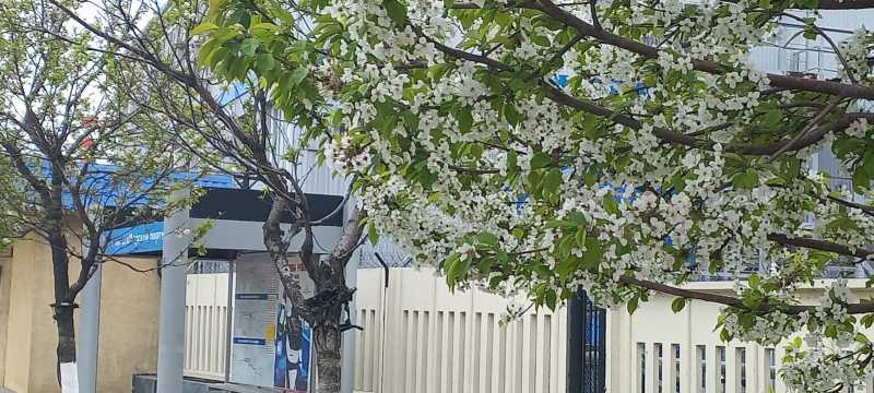 На оживленной трассе в Новороссийске появилась белоснежная локация для фотосессий