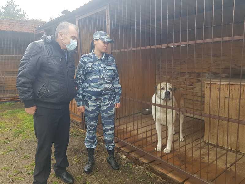 На территории Краснодарского края продолжается Всероссийская акция «Гражданский мониторинг»