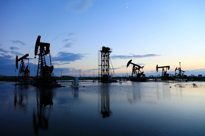 Опубликованы данные для расчёта НДПИ и НДД, а также акциза на нефтяное сырье за февраль 2021 года 