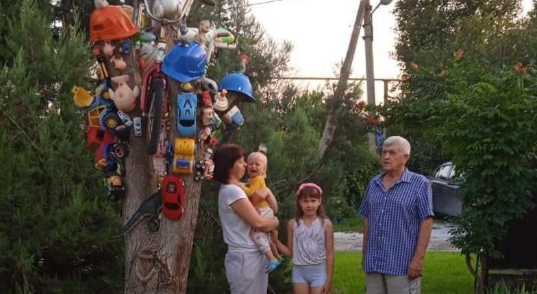 Под Новороссийском появилось &amp;quot;игрушковое&amp;quot; дерево