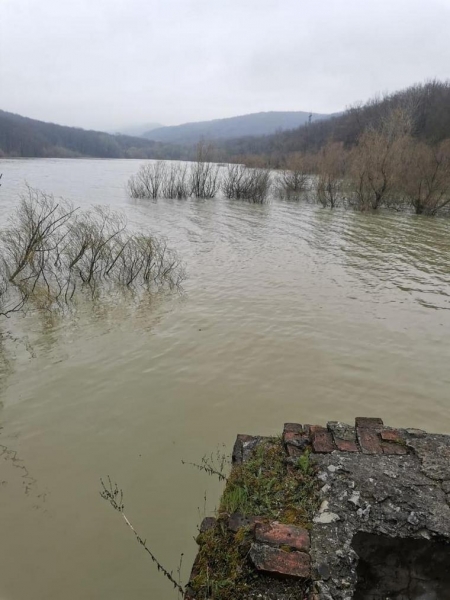 &laquo;В ванне мы хотим плескаться и детей своих купать!&raquo;: житель Новороссийска посвящает стихи &laquo;Водоканалу&raquo;